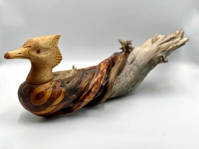 Female Merganser Driftwood