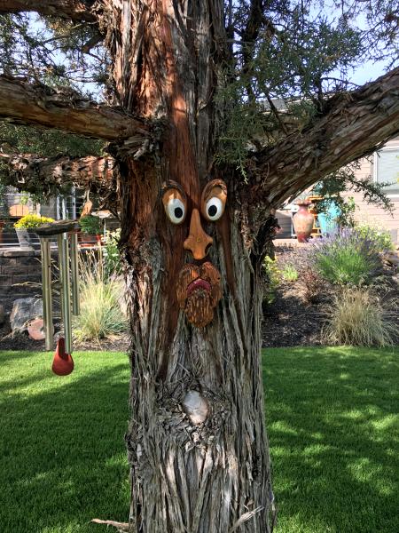 Green Man Tree Face