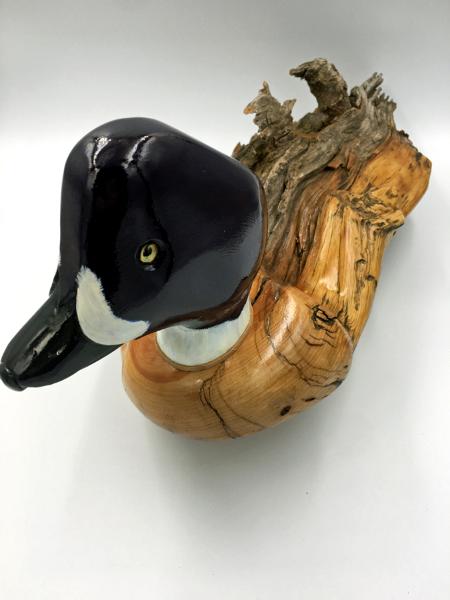 Fence Post Duck: Black/White Head/Neck--Looking Right