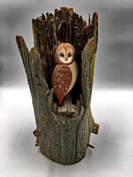 Owl in Tree